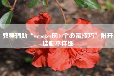 教程辅助“wepoker的10个必赢技巧”附开挂脚本详细