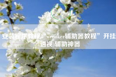 安装程序教程“wepoker辅助器教程”开挂(透视)辅助神器