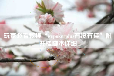 玩家必看教程“wepokerplus有没有挂”附开挂脚本详细