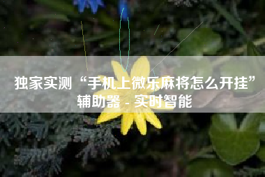 独家实测“手机上微乐麻将怎么开挂	”辅助器 - 实时智能