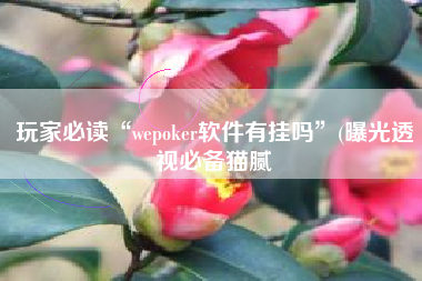 玩家必读“wepoker软件有挂吗”(曝光透视必备猫腻