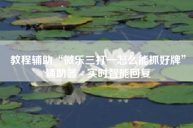 教程辅助“微乐三打一怎么能抓好牌”辅助器 - 实时智能回复