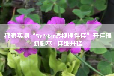独家实测“WePoker透视插件挂	”开挂辅助脚本+详细开挂