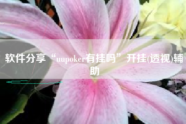 软件分享“uupoker有挂吗”开挂(透视)辅助