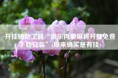 开挂辅助工具“微乐内蒙麻将开挂免费下载安装”(原来确实是有挂)