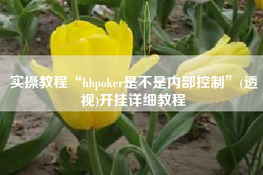 实操教程“hhpoker是不是内部控制	”(透视)开挂详细教程