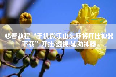 必看教程“手机微乐山东麻将开挂神器下载”开挂(透视)辅助神器