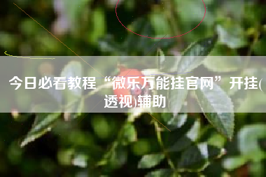 今日必看教程“微乐万能挂官网	”开挂(透视)辅助