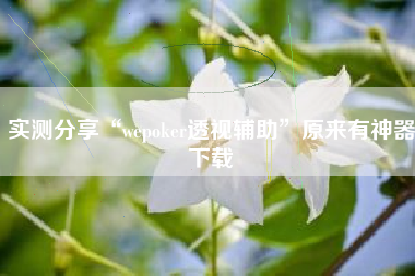 实测分享“wepoker透视辅助”原来有神器下载