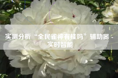 实测分析“全民雀神有挂吗”辅助器 - 实时智能