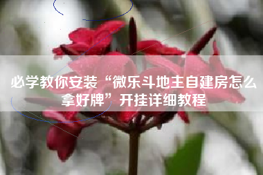 必学教你安装“微乐斗地主自建房怎么拿好牌”开挂详细教程