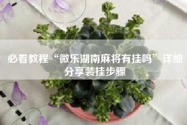 必看教程“微乐湖南麻将有挂吗”详细分享装挂步骤