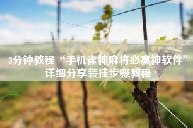 3分钟教程“手机雀神麻将必赢神软件”详细分享装挂步骤教程