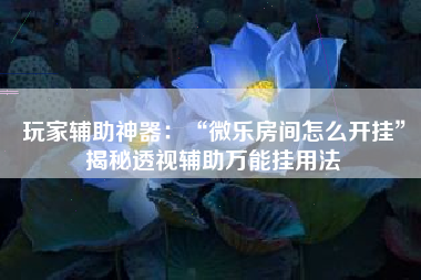 玩家辅助神器：“微乐房间怎么开挂”揭秘透视辅助万能挂用法