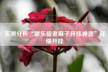 实测分析“微乐捉老麻子开挂神器”详细开挂
