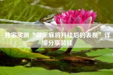 独家实测“微乐麻将开挂后的表现”详细分享装挂