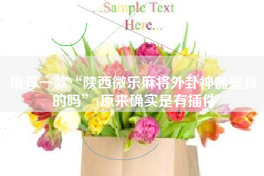 推荐一款“陕西微乐麻将外卦神器是真的吗	”(原来确实是有插件