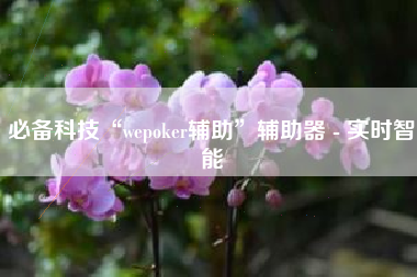 必备科技“wepoker辅助	”辅助器 - 实时智能