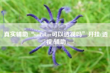 真实辅助“wePoker可以透视吗	”开挂(透视)辅助