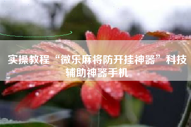 实操教程“微乐麻将防开挂神器”科技辅助神器手机