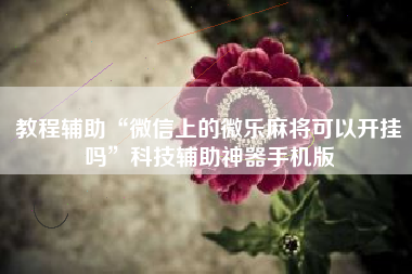 教程辅助“微信上的微乐麻将可以开挂吗	”科技辅助神器手机版