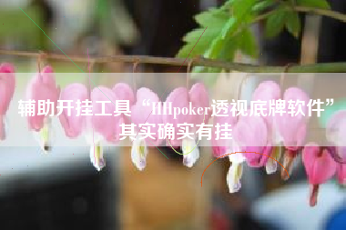 辅助开挂工具“HHpoker透视底牌软件”其实确实有挂