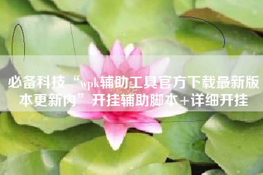 必备科技“wpk辅助工具官方下载最新版本更新内	”开挂辅助脚本+详细开挂