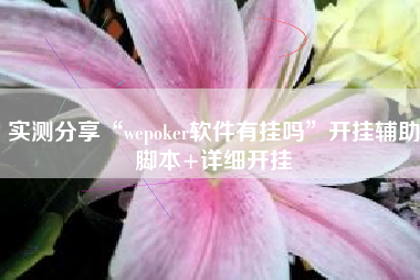实测分享“wepoker软件有挂吗”开挂辅助脚本+详细开挂