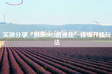 实测分享“微乐2025透视挂	”详细开挂玩法