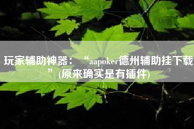 玩家辅助神器：“aapoker德州辅助挂下载”(原来确实是有插件)