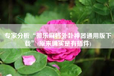 专家分析“微乐麻将外卦神器通用版下载”(原来确实是有插件)