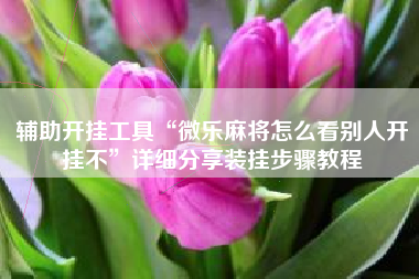 辅助开挂工具“微乐麻将怎么看别人开挂不	”详细分享装挂步骤教程