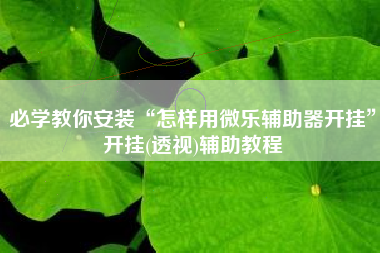 必学教你安装“怎样用微乐辅助器开挂	”开挂(透视)辅助教程