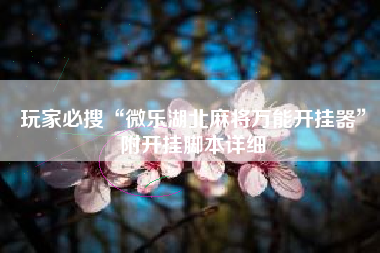 玩家必搜“微乐湖北麻将万能开挂器”附开挂脚本详细