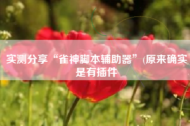 实测分享“雀神脚本辅助器	”(原来确实是有插件