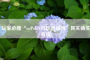玩家必搜“wePoker可以透视吗”其实确实有挂