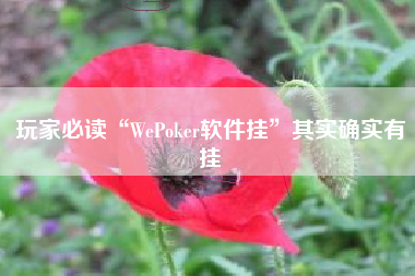 玩家必读“WePoker软件挂”其实确实有挂