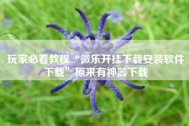 玩家必看教程“微乐开挂下载安装软件下载	”原来有神器下载