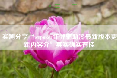 实测分享“wepoker作弊辅助器最新版本更新内容介”其实确实有挂