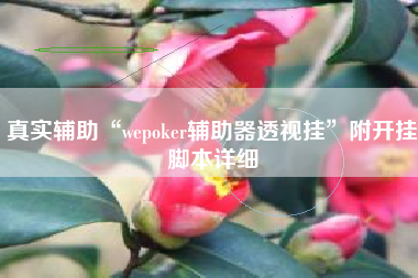 真实辅助“wepoker辅助器透视挂”附开挂脚本详细