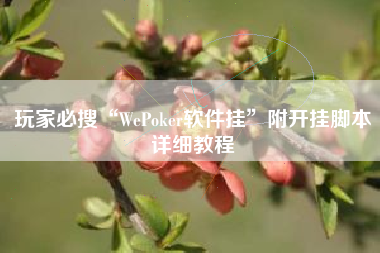 玩家必搜“WePoker软件挂	”附开挂脚本详细教程