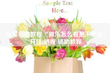 玩家必看教程“微乐怎么看是不是挂”开挂(透视)辅助教程