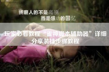 玩家必看教程“雀神脚本辅助器”详细分享装挂步骤教程