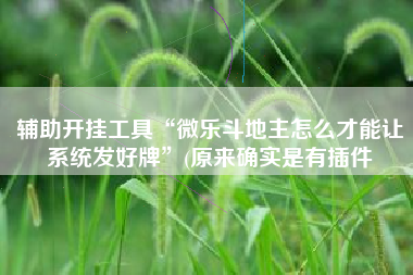 辅助开挂工具“微乐斗地主怎么才能让系统发好牌”(原来确实是有插件