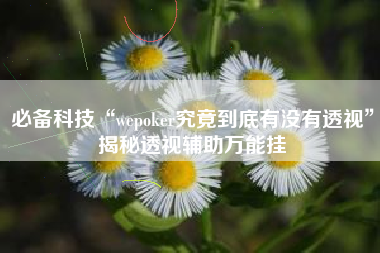 必备科技“wepoker究竟到底有没有透视”揭秘透视辅助万能挂