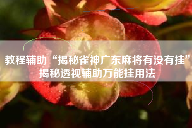 教程辅助“揭秘雀神广东麻将有没有挂”揭秘透视辅助万能挂用法