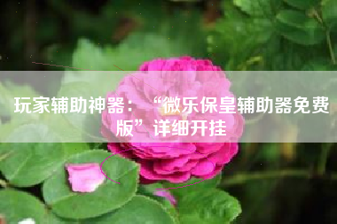 玩家辅助神器：“微乐保皇辅助器免费版”详细开挂