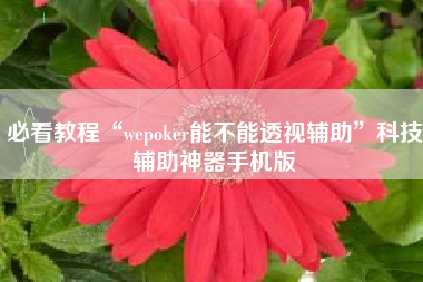 必看教程“wepoker能不能透视辅助”科技辅助神器手机版