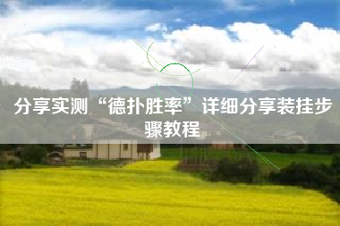 分享实测“德扑胜率”详细分享装挂步骤教程