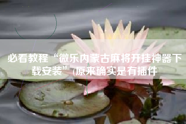 必看教程“微乐内蒙古麻将开挂神器下载安装”(原来确实是有插件